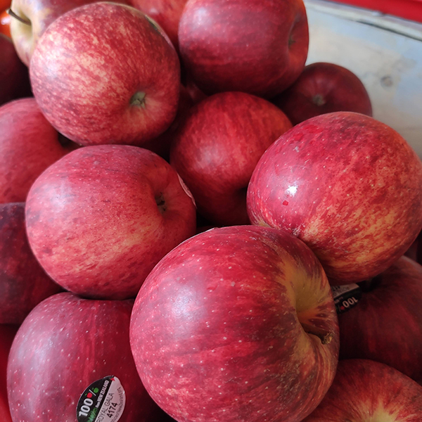 Táo đỏ Royal Gala